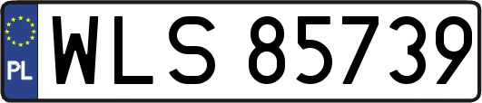 WLS85739