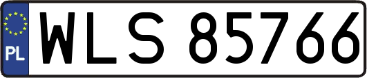 WLS85766