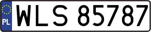 WLS85787