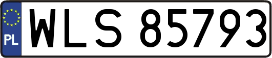 WLS85793