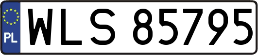 WLS85795
