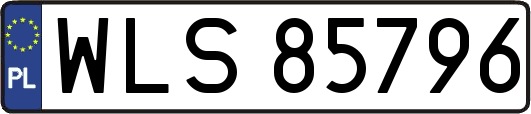 WLS85796
