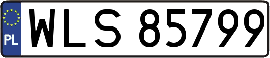 WLS85799