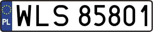 WLS85801