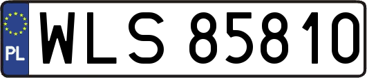 WLS85810