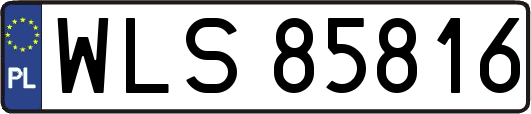 WLS85816
