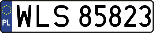 WLS85823