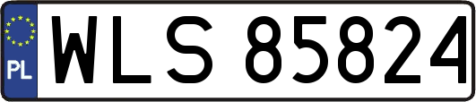 WLS85824