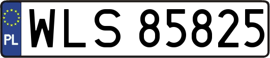 WLS85825