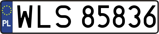 WLS85836