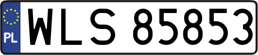 WLS85853