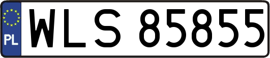 WLS85855