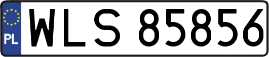 WLS85856
