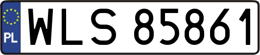 WLS85861