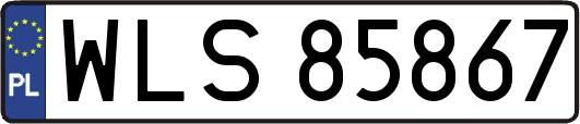 WLS85867