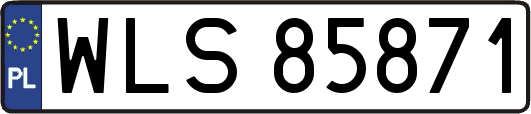 WLS85871