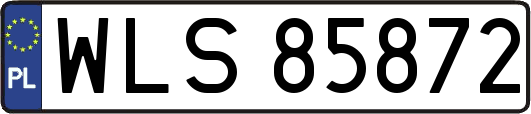WLS85872