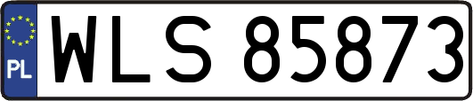 WLS85873