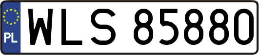 WLS85880