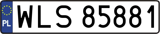 WLS85881