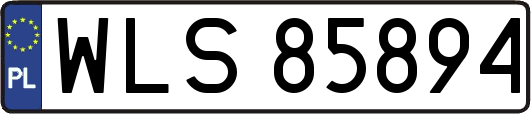 WLS85894