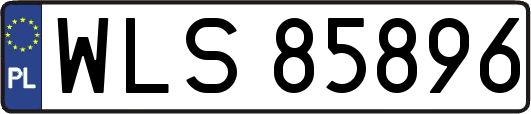 WLS85896