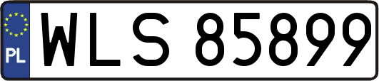 WLS85899