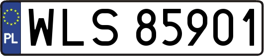 WLS85901