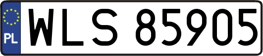 WLS85905
