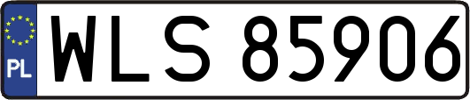 WLS85906
