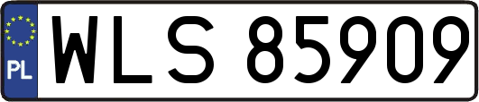 WLS85909