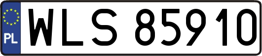 WLS85910