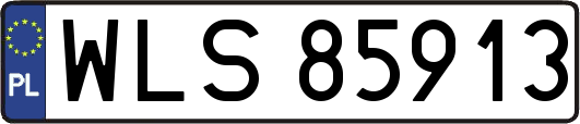 WLS85913
