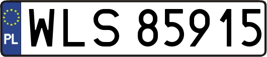 WLS85915