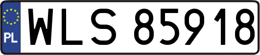 WLS85918