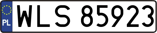 WLS85923
