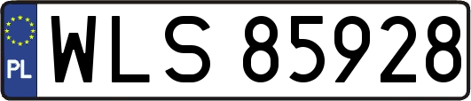 WLS85928