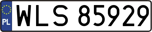WLS85929