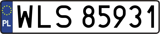 WLS85931