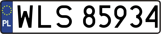 WLS85934