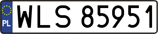 WLS85951