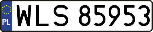 WLS85953