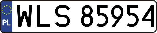 WLS85954