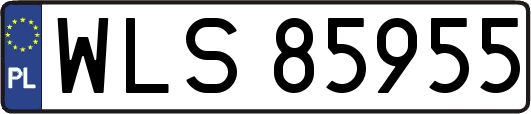 WLS85955