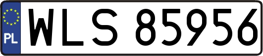WLS85956