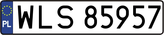 WLS85957