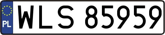 WLS85959