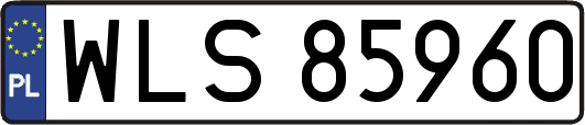 WLS85960