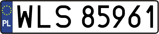 WLS85961