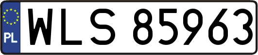 WLS85963